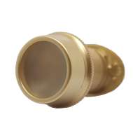 Brass hidden door viewer